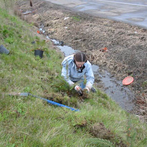 2008_04_04_-_planting01