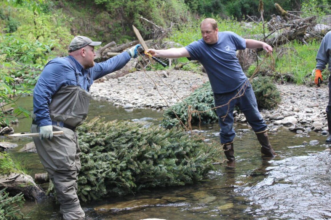 Xmas Tree Placement Work Party – April 18