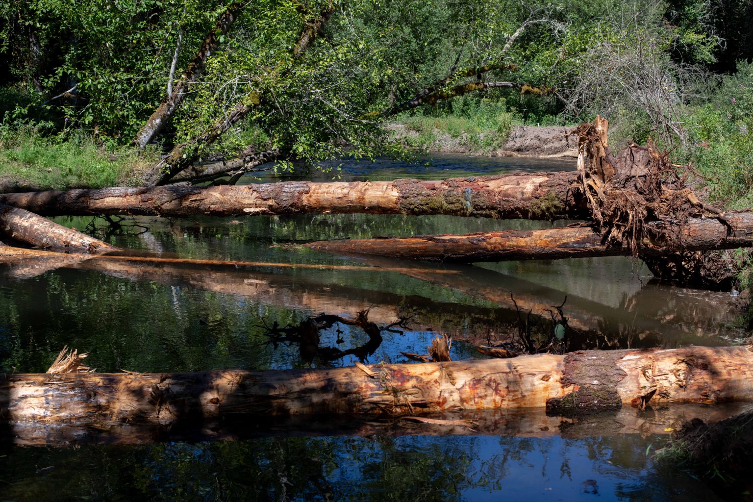 In-Stream Restoration Projects