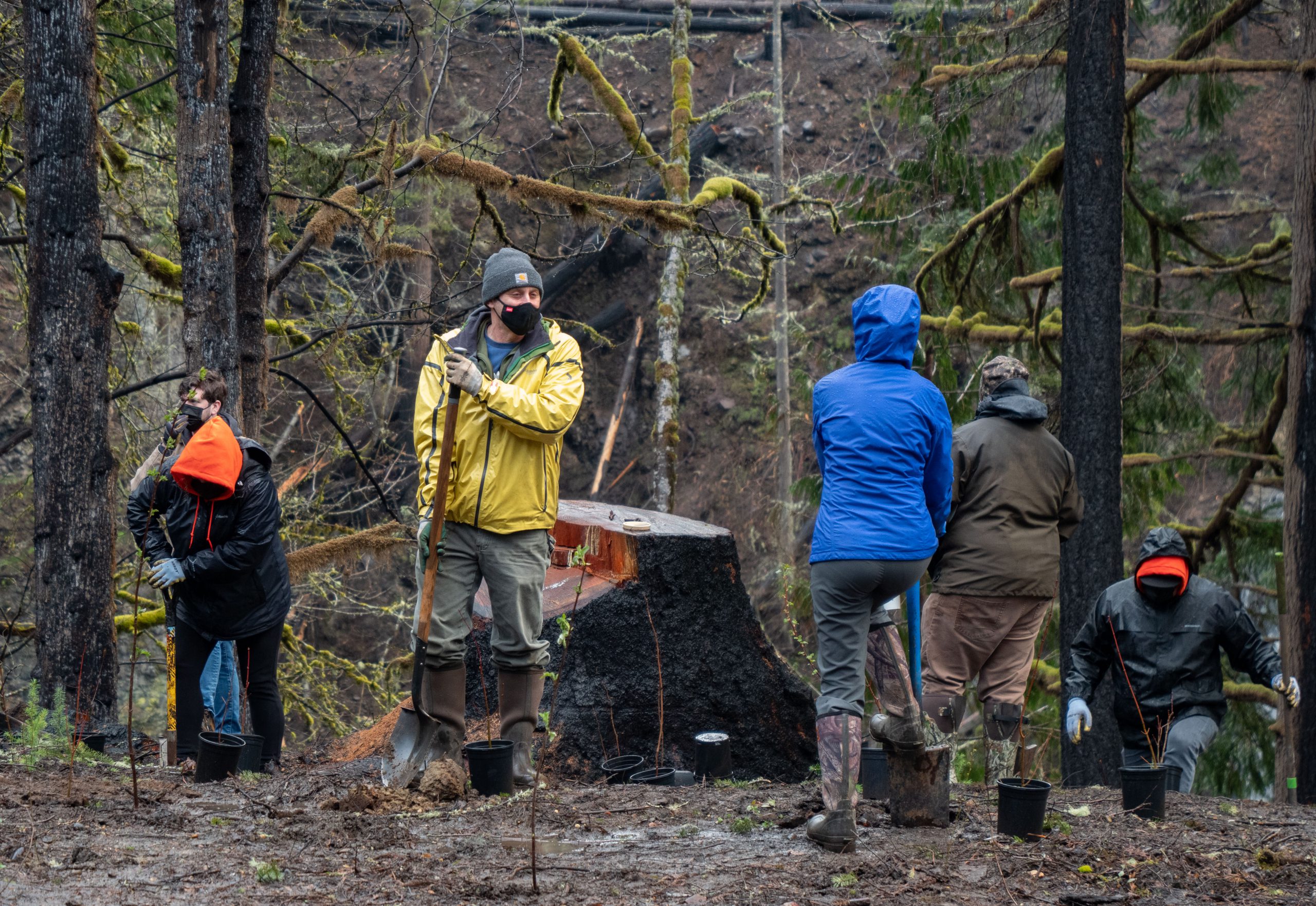 Replant the Riverside Clackamas River Basin Council