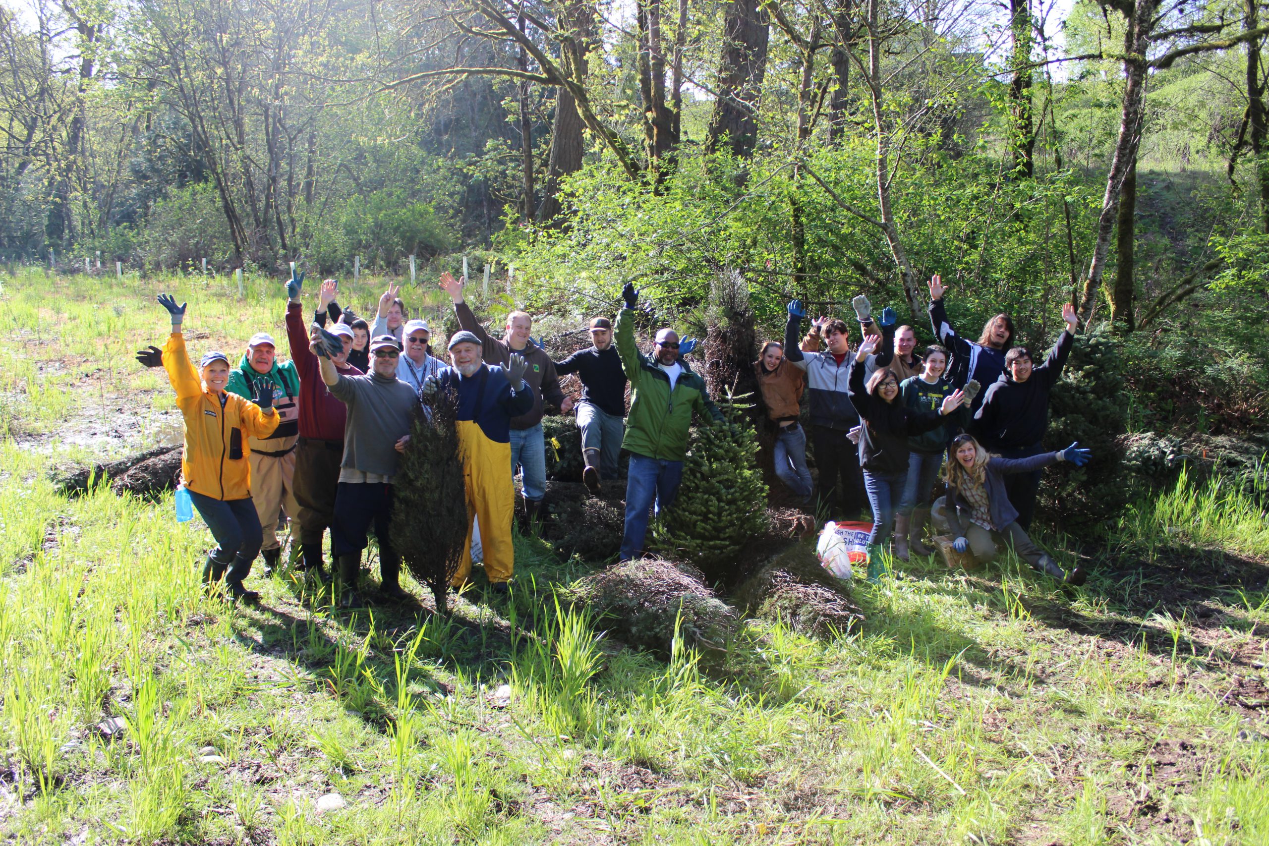 Xmas Tree Placement Work Party - August 6!