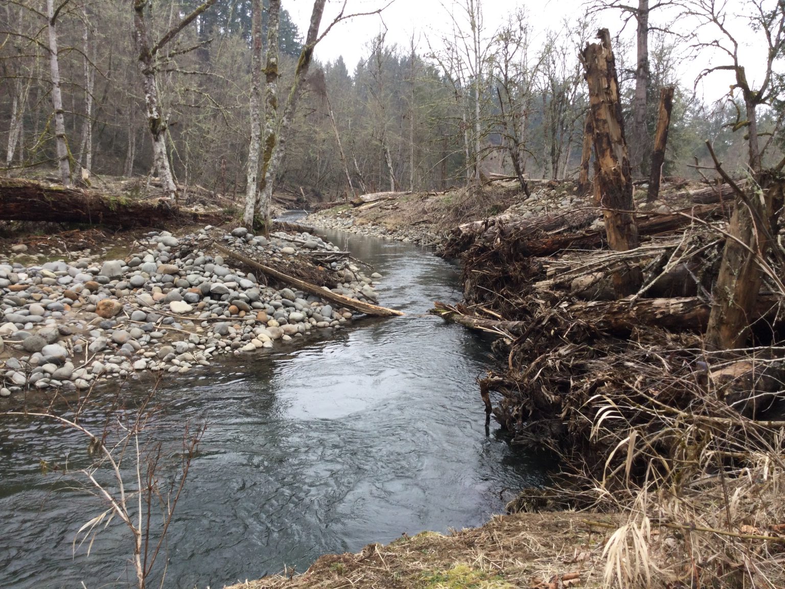 In-Stream Restoration Projects