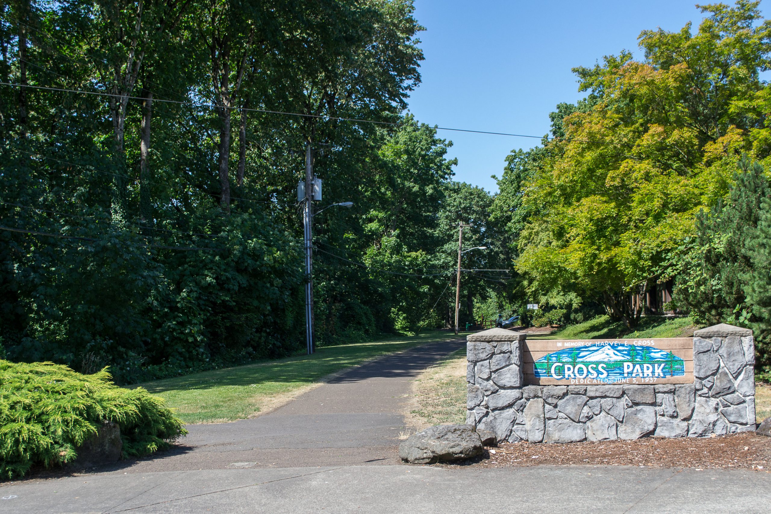 Cross Park Community Planting Party