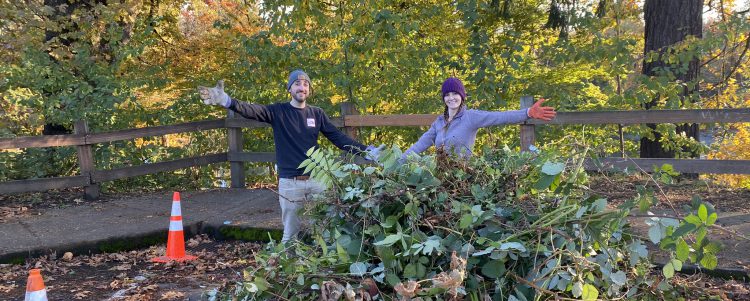 Work Party Success: Cross Park Invasive Species Removal