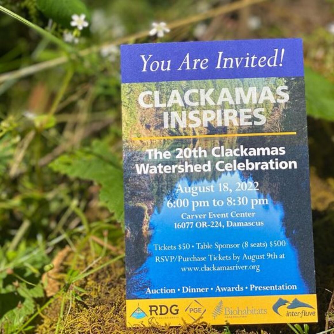 Recap: Annual Watershed Celebration