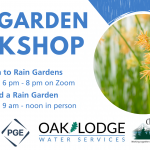 Rain Garden Workshop