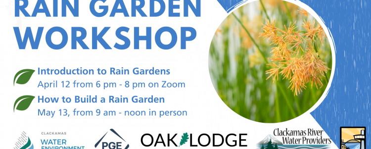 Rain Garden Workshop: April 12 and May 13