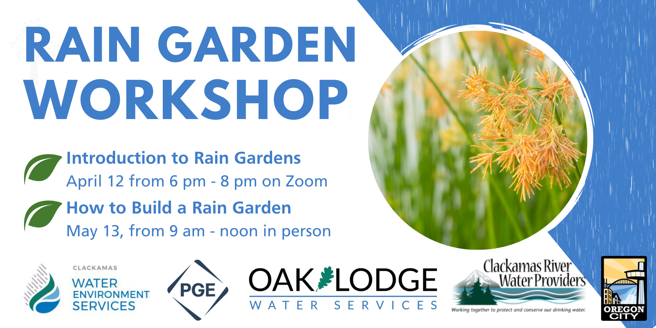 rain garden workshop Clackamas River Basin Council at the