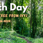 Earth Day: Save a Tree from Ivy!