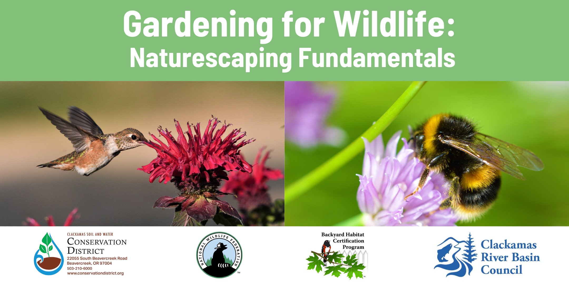 Gardening for Wildlife: Naturescaping Fundamentals
