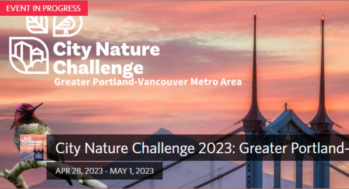 City Nature Challenge