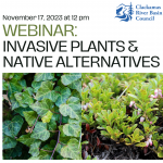 Webinar: Invasive Plants & Native Alternatives