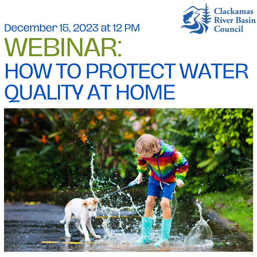 Webinar: How to Protect Water Quality at Home