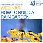 Webinar: How to Build a Rain Garden