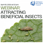 Webinar: Attracting Beneficial Insects