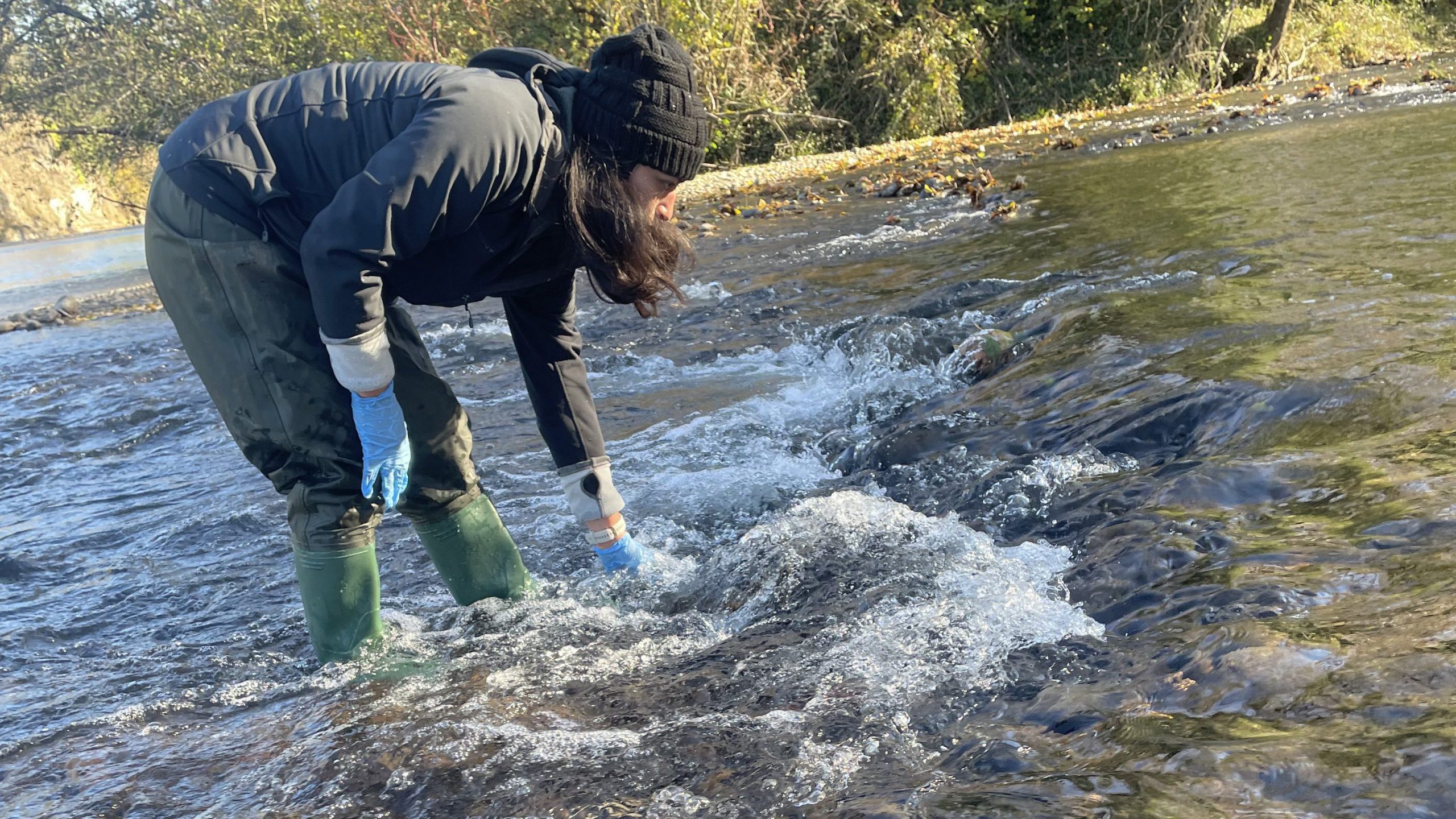 Chum Salmon Surveying using eDNA – Clackamas River Basin Council