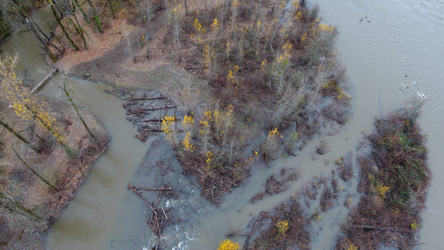 In-Stream Restoration Projects