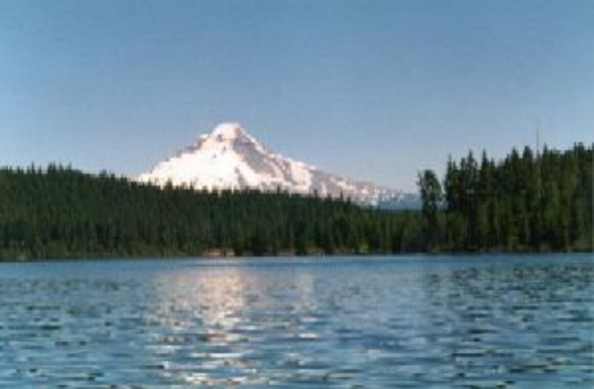 Clackamas River Water Providers Spring Article