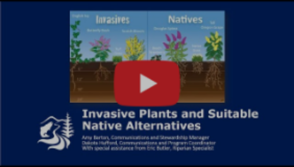 Clackamas River Basin Council YouTube Webinar series