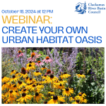 Webinar: Create Your Own Urban Habitat Oasis