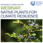 Webinar: Native Plants For Climate Resilience