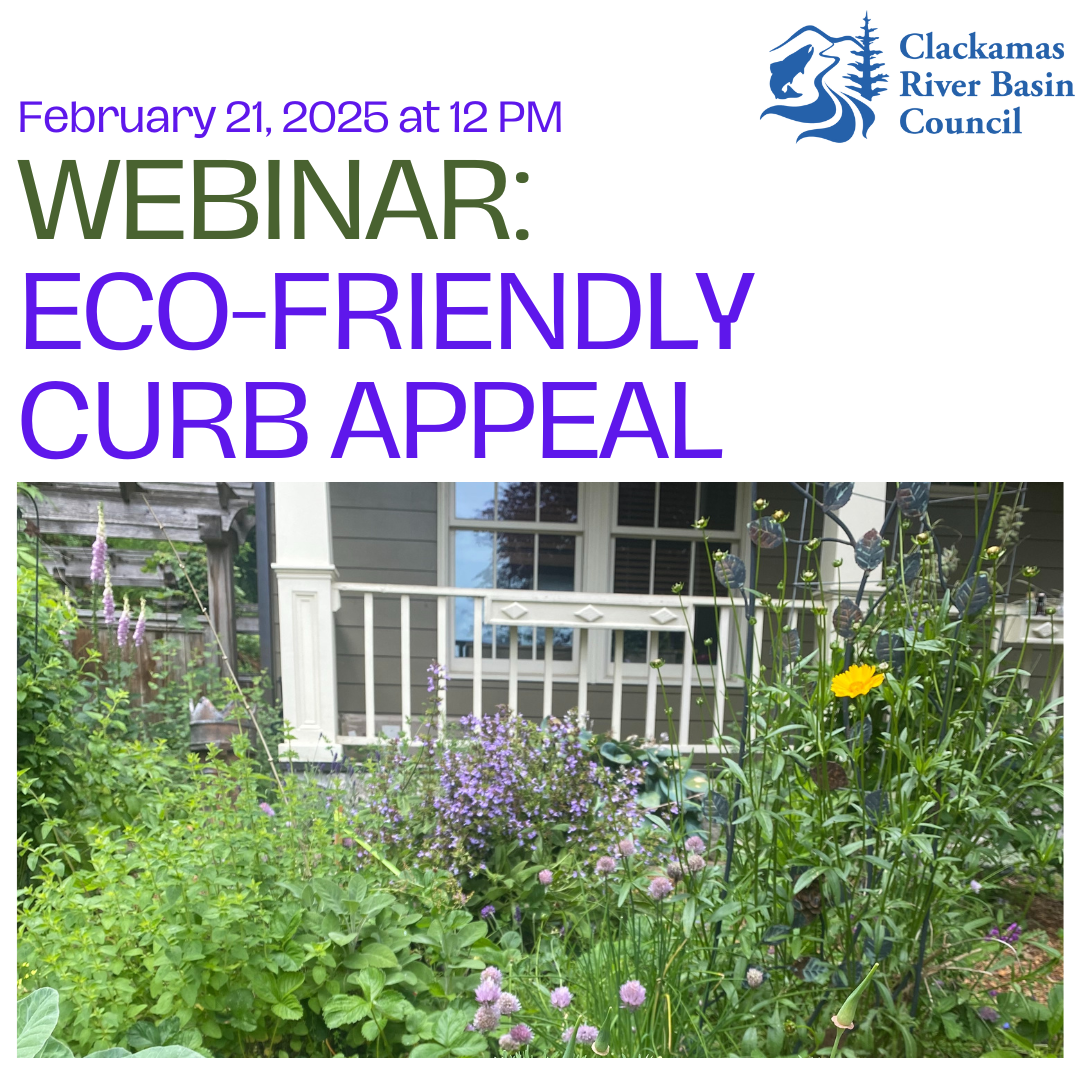 Webinar: Eco Friendly Curb Appeal