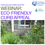 Webinar: Eco Friendly Curb Appeal