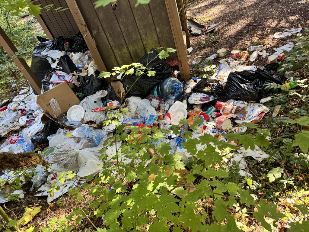 Upper Clackamas Cleanup Before