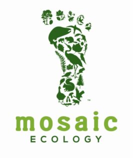 Mosaic Ecology
