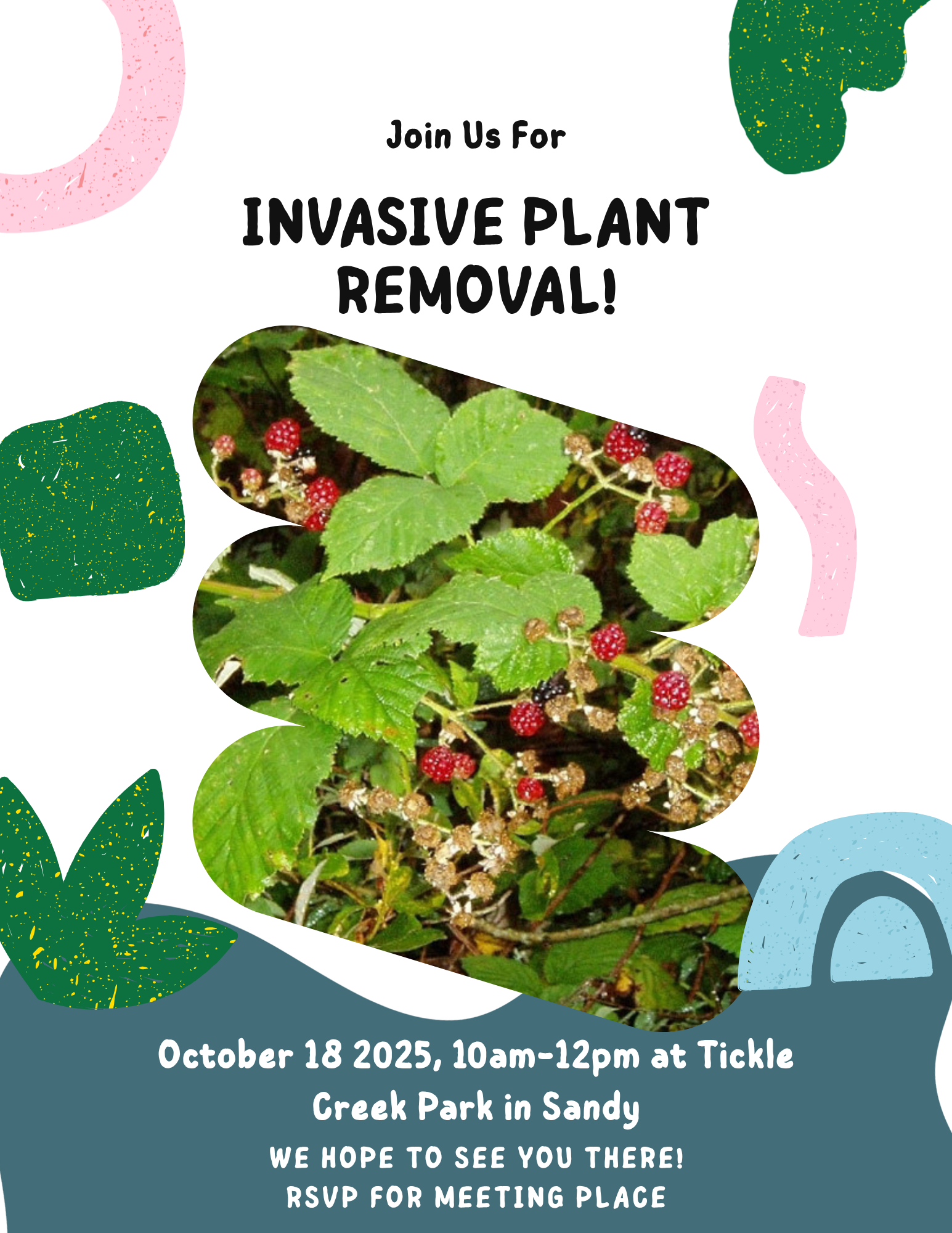 Invasive Removal at Tickle Creek!