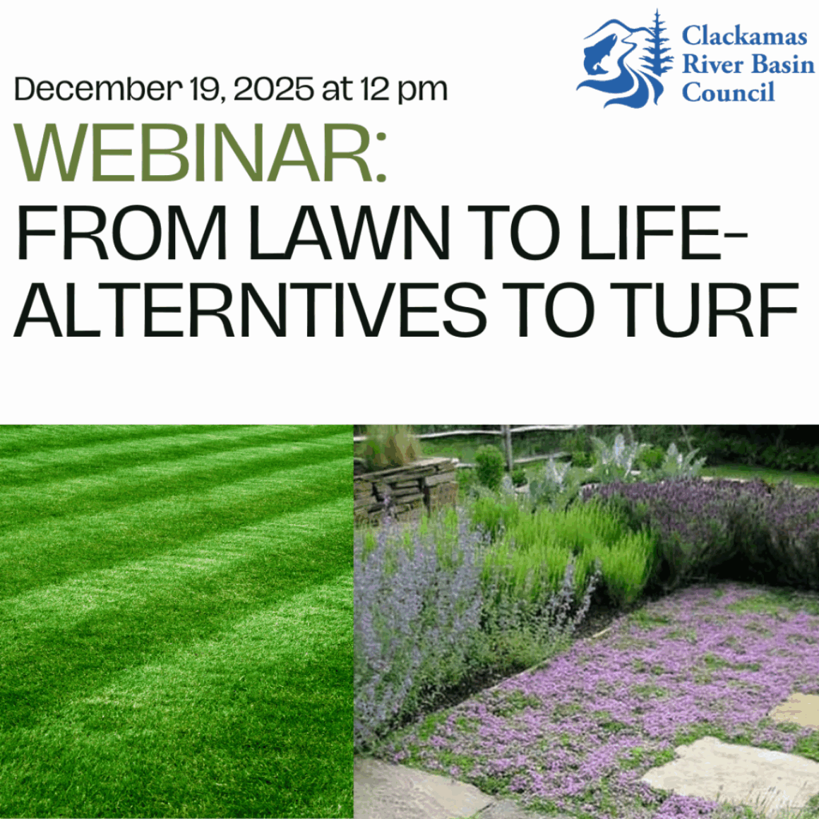 Webinar: From Lawn to Life – Alternatives to Traditional Turf