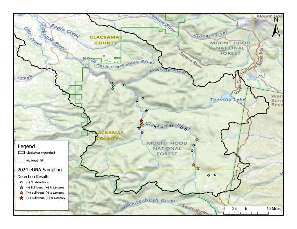 eDNA results upper Clackamas 2024