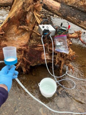 eDNA sampling in the upper Clackamas