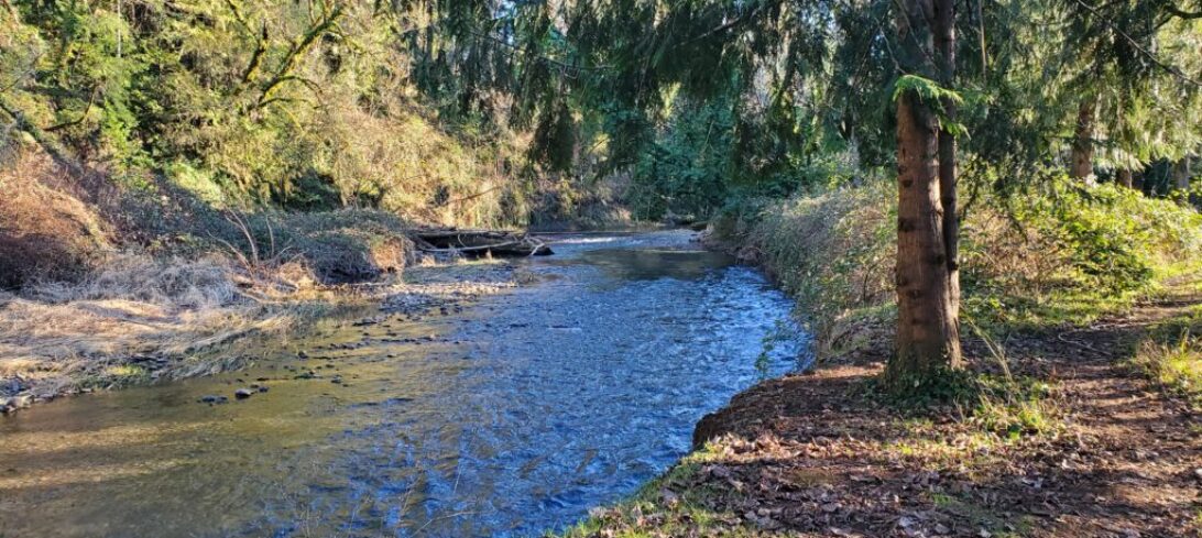 Clear Creek Confluence Restoration