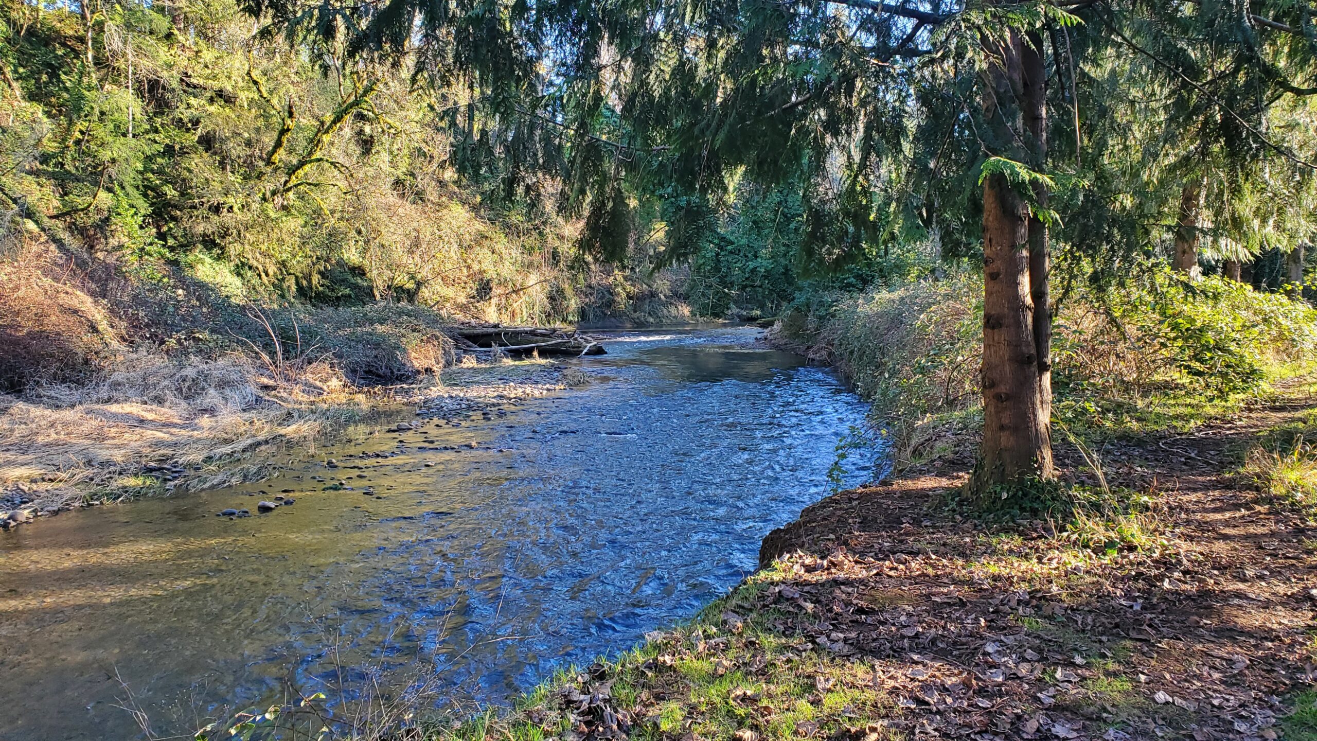 Clear Creek Confluence Restoration