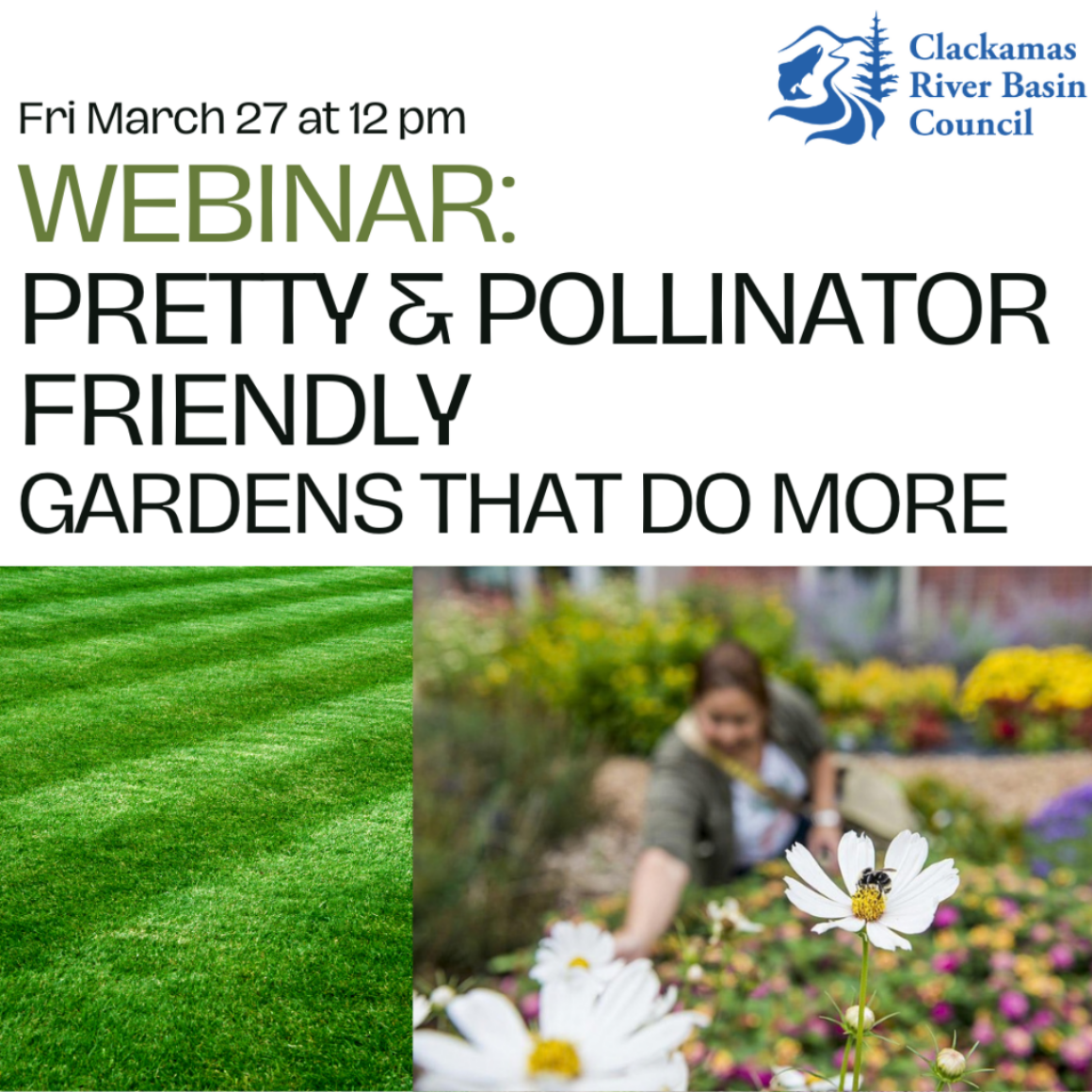 Webinar Pretty & Pollinator Friendly- Garden Designs That Do More