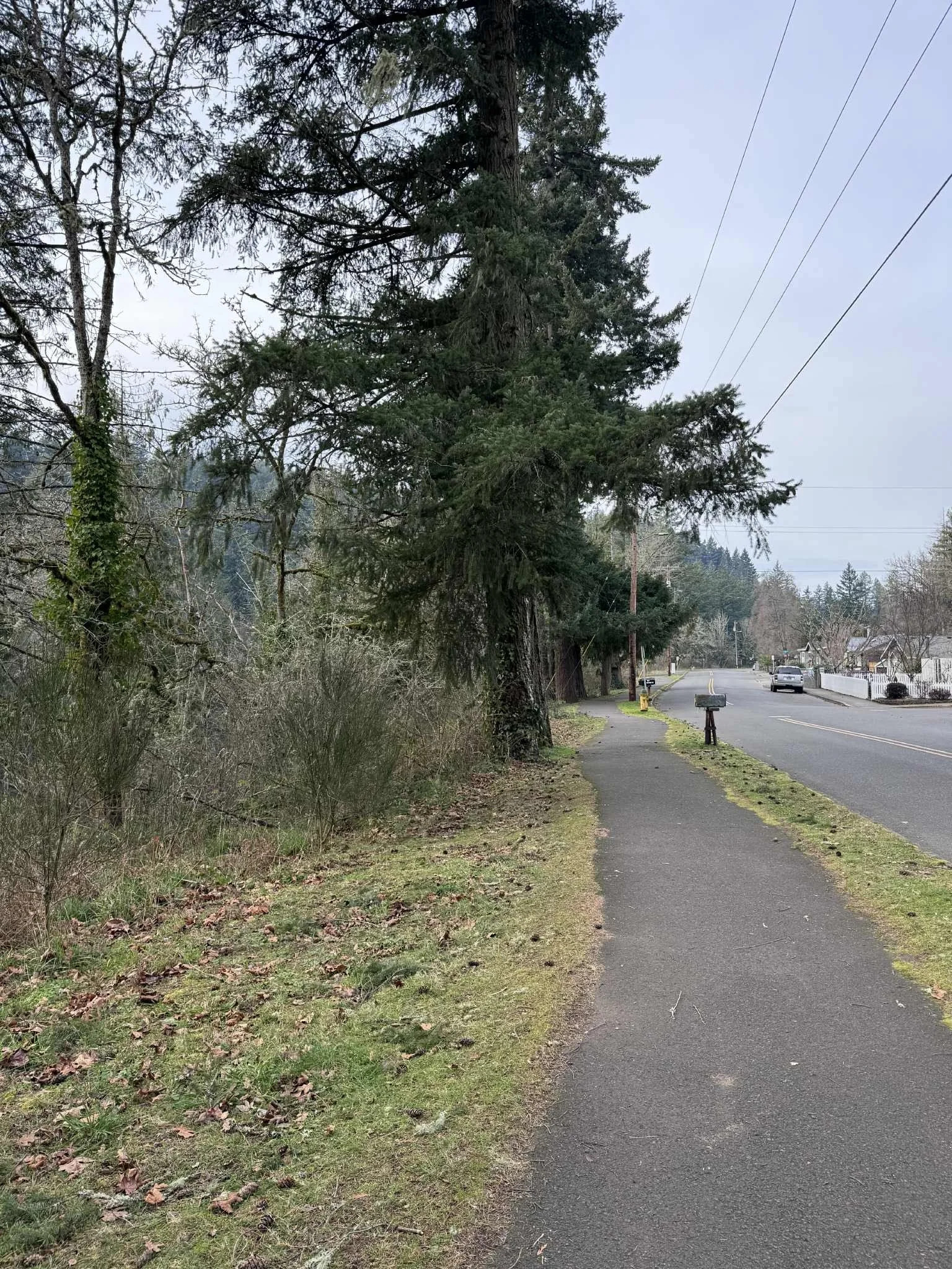 Estacada Lakeshore Trail Work Party