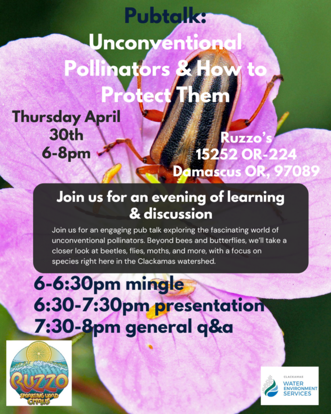 Pub Talk: Unconventional Pollinators & How To Protect Them