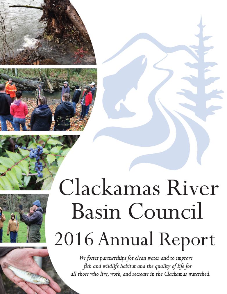 2016 Annual Report CBRC