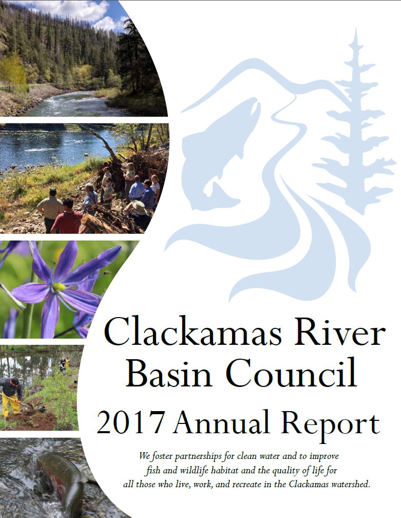 2017 Annual Report CBRC