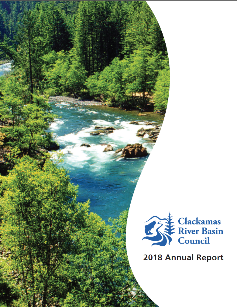 2018 Annual Report CBRC