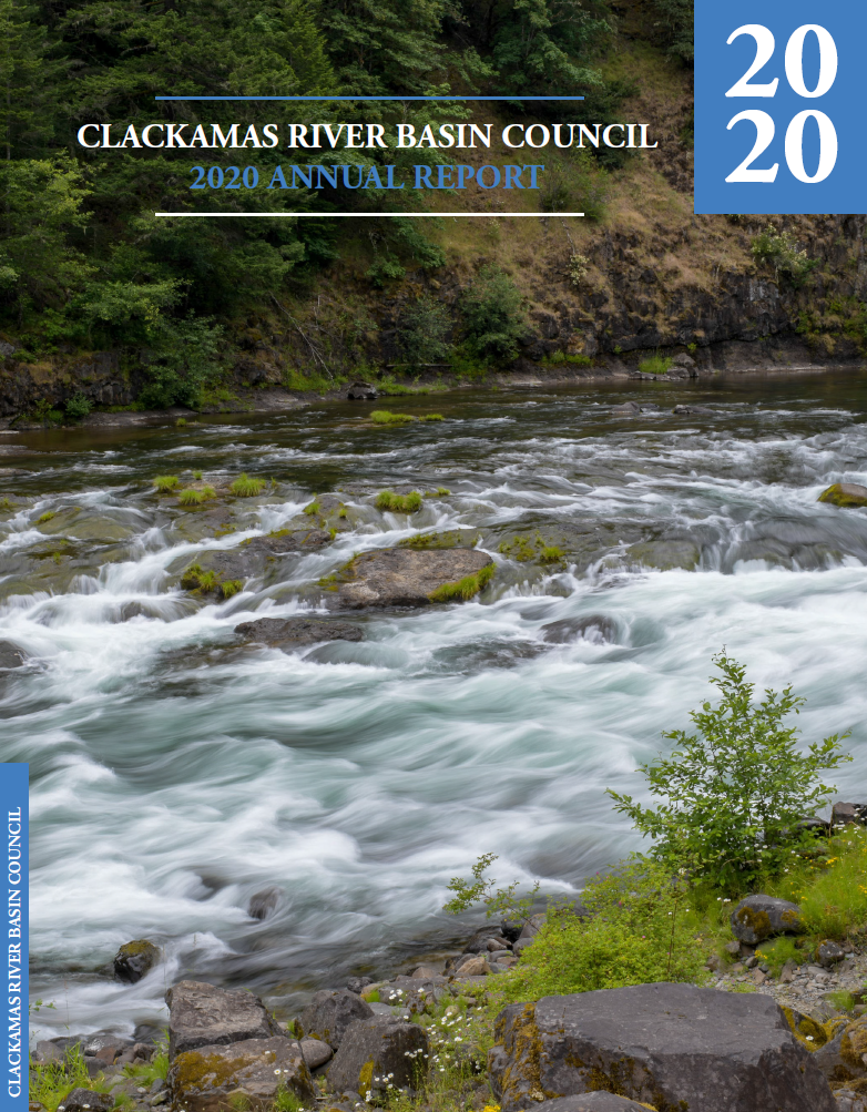 2020 Annual Report CBRC