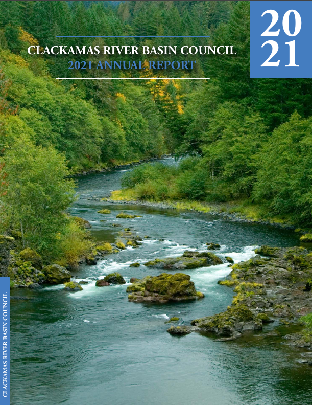 2021 Annual Report CBRC