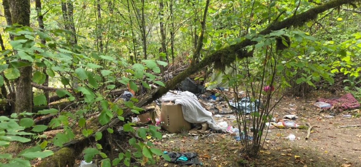 Beebe Island Trash Cleanup!