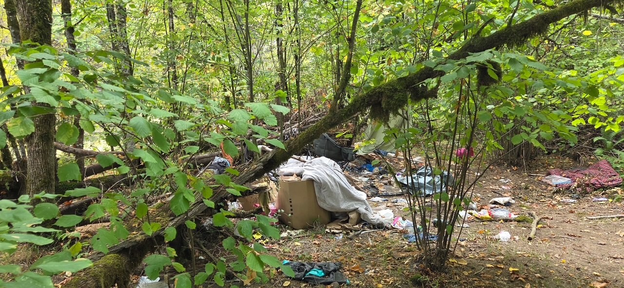 Beebe Island Trash Cleanup!